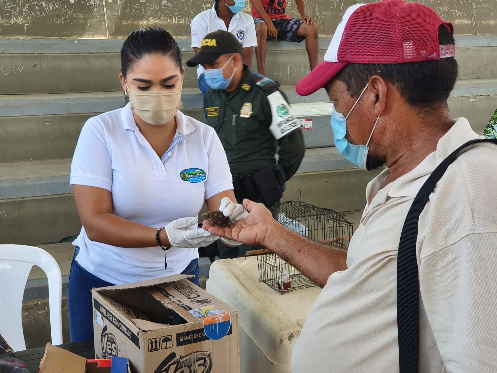Funcionaria de Corpamag recibiendo ave en manos de un campesino de manera voluntaria